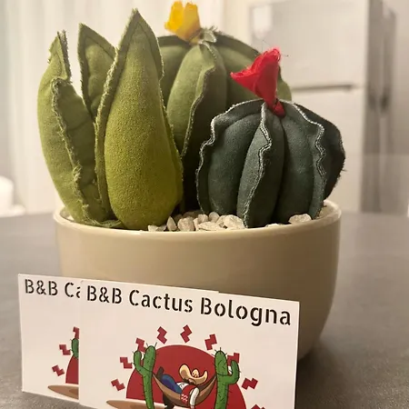 Nocleg ze śniadaniem Cactus 4*