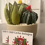 ベッド・アンド・ブレックファスト Cactus 4*
