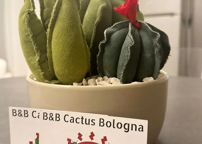 ベッド・アンド・ブレックファスト Cactus 3*